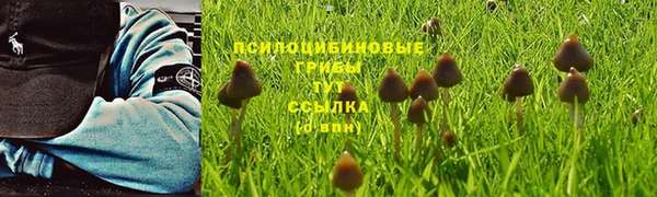 ALPHA-PVP Белокуриха