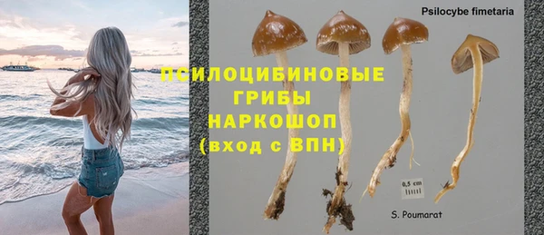 эйфоретик Белоозёрский