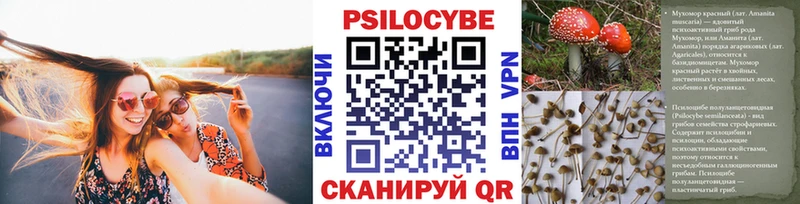 hydra   Бирюсинск  Псилоцибиновые грибы Magic Shrooms 